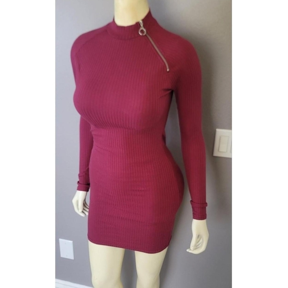 Forever 21 Burgundy Long Sleeve Dress with Zipper